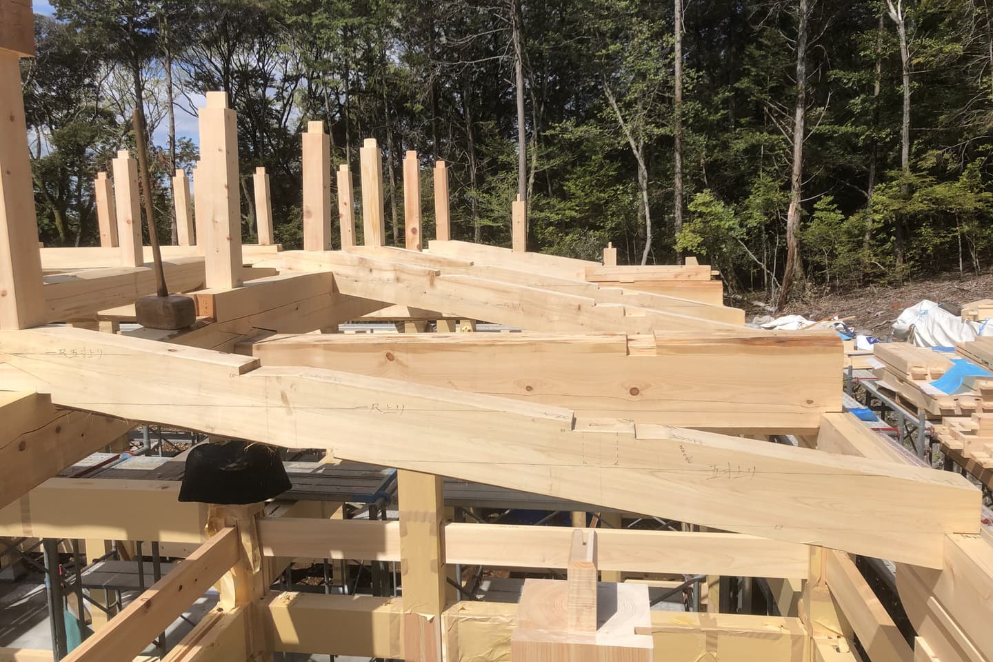 木の個性（癖）を見抜く