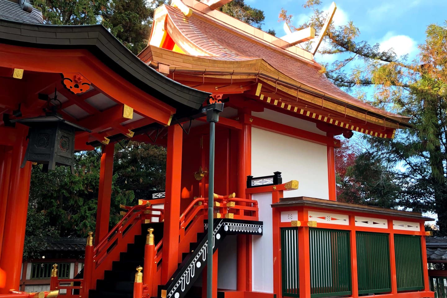 木の個性（癖）を見抜く