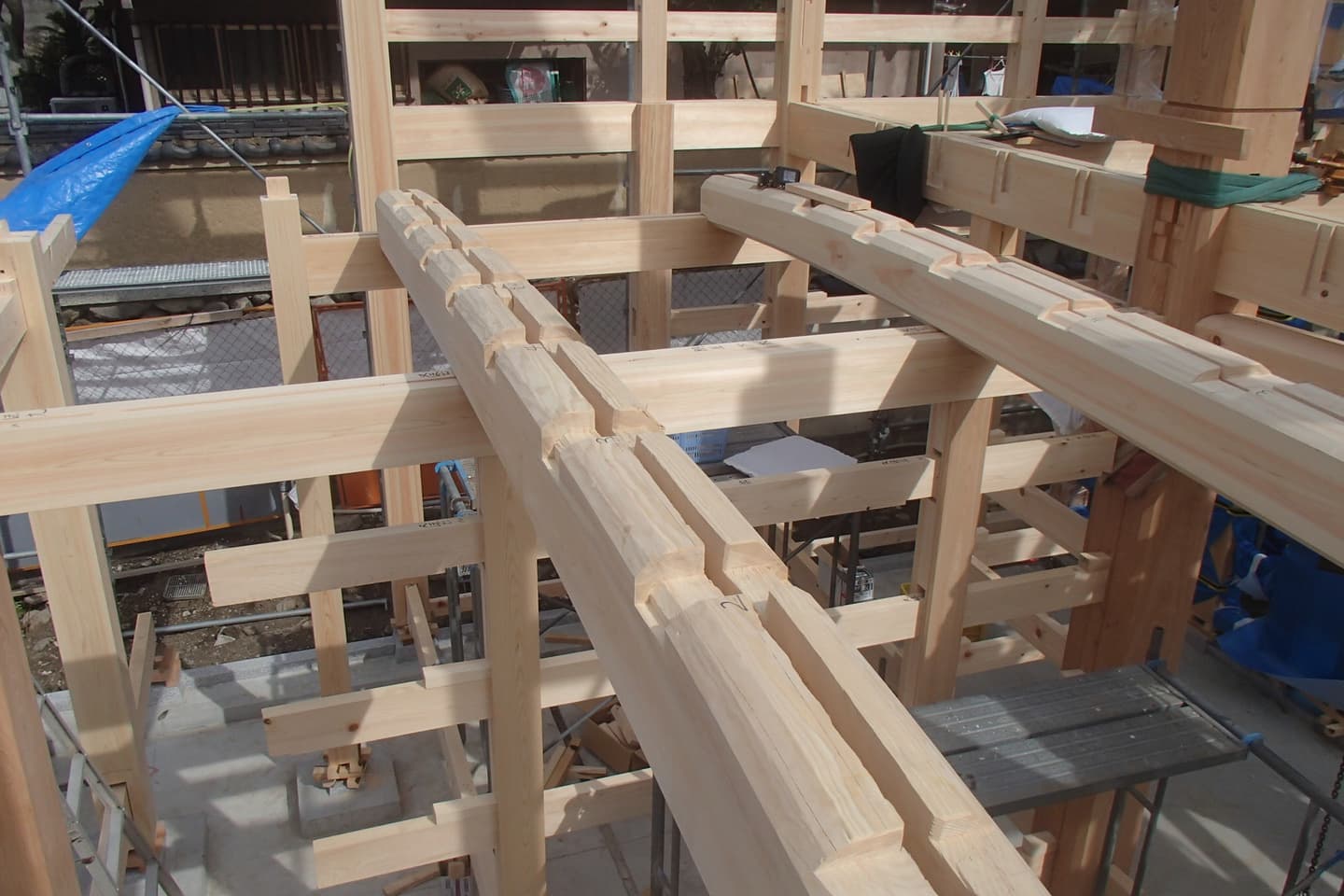 木の個性（癖）を見抜く